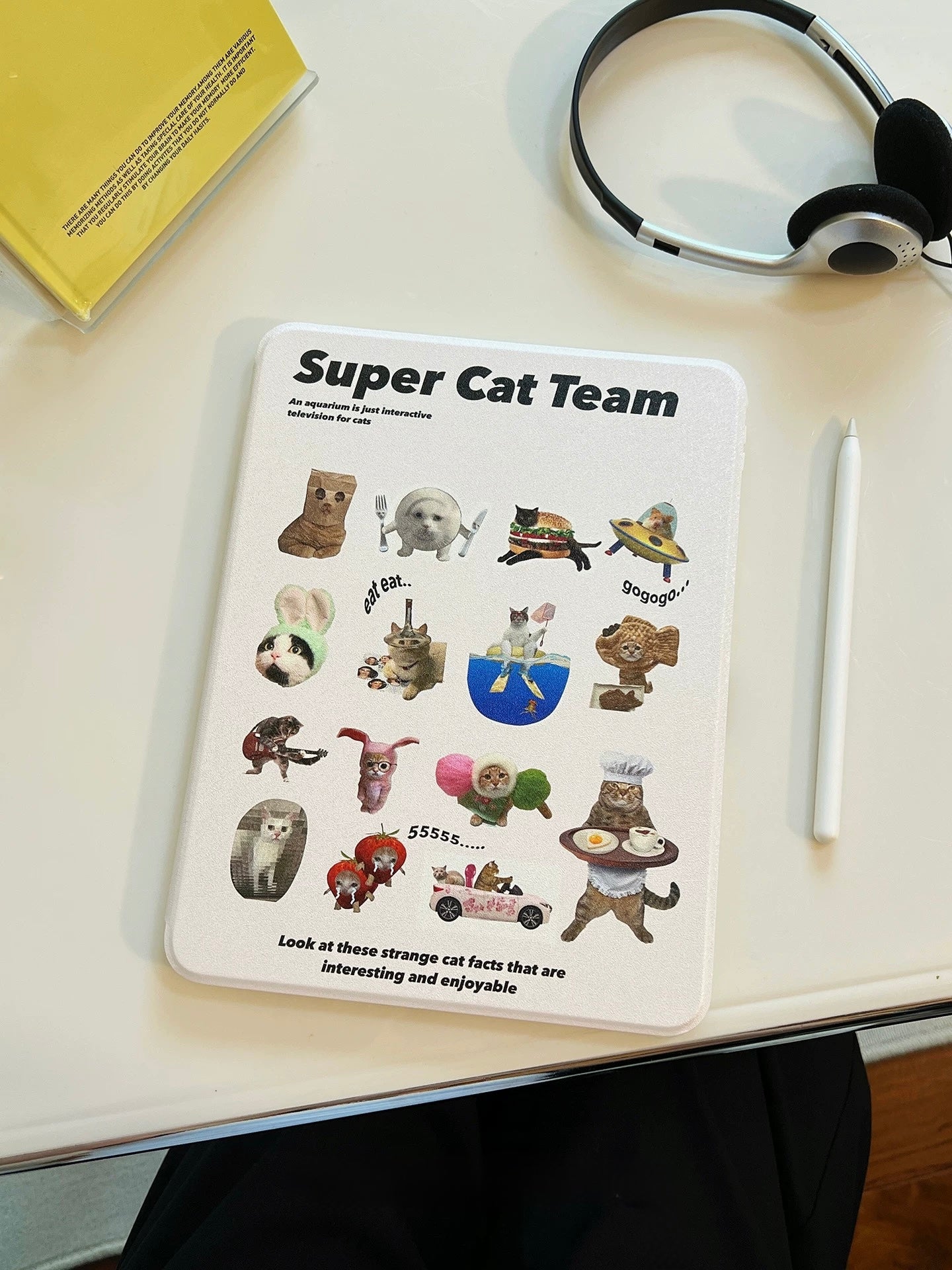 The Feelz product shot — cat meme iPad case for student desk