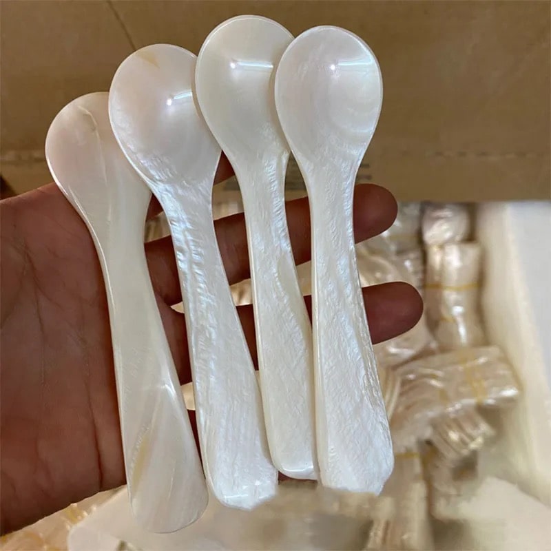Decorative natural shell spoon for table decor